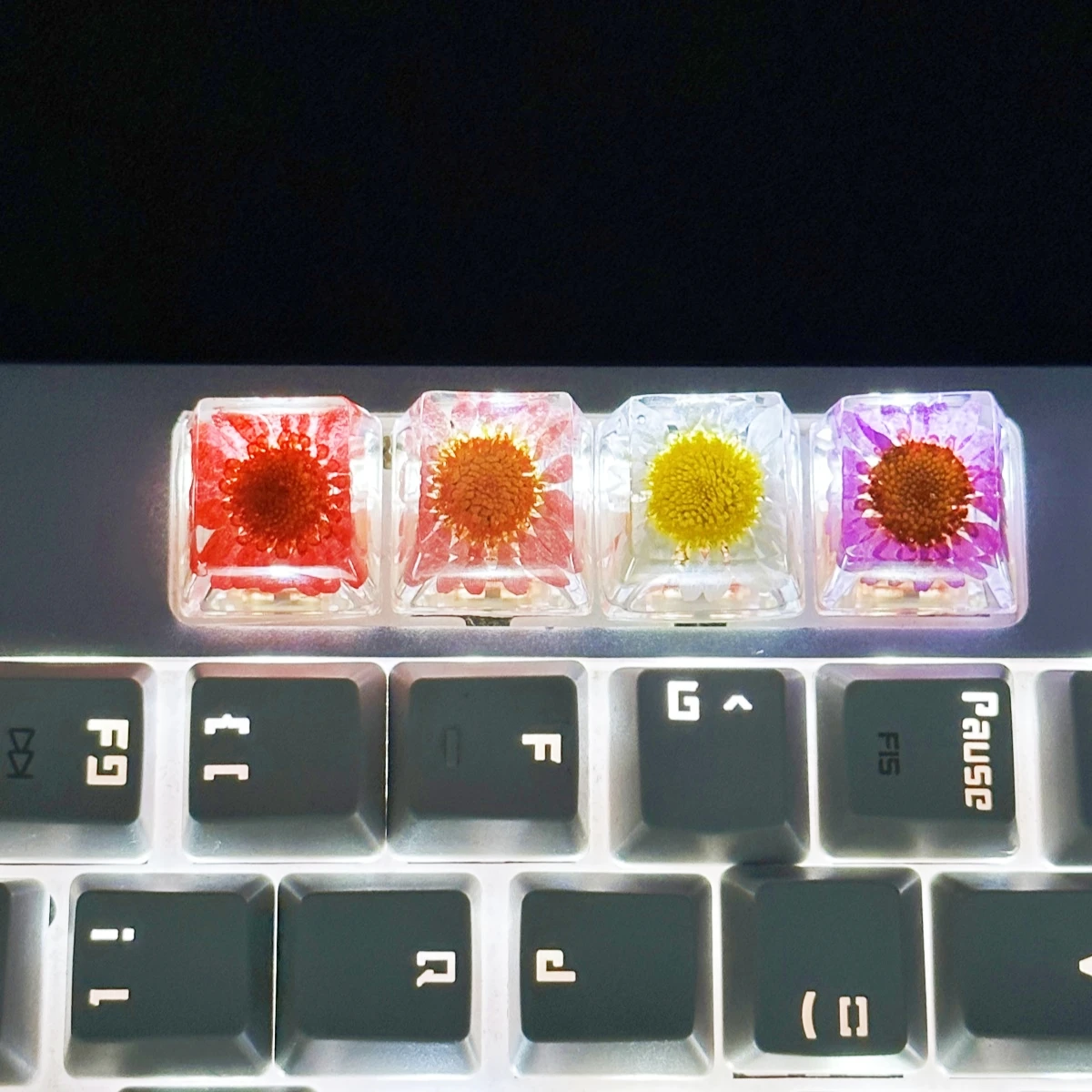 Teclas de Teclado mecánico de crisantemo, flor seca, bricolaje - imagen 3