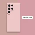 Sakura Pink
