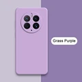 Grass Purple