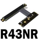 R43NR