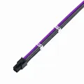 Carbon  Purple