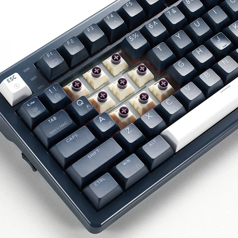 Kailh BOX Blackberry Ice Cream teclado interruptor PRO Teclado mecánico interruptor alto suave Material POK/POM - imagen 3