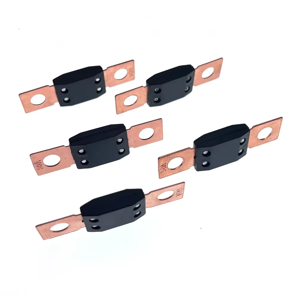 1 Uds LITTEL FUSE ANL coche MEGA Bolt-on Blow A hoja de fusible 40A 50A 60A 80A 100A 125A 175A 150A 200A 250A 300A 400A fusible - imagen 2