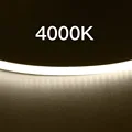 4000K