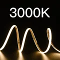 3000K