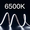 6500K