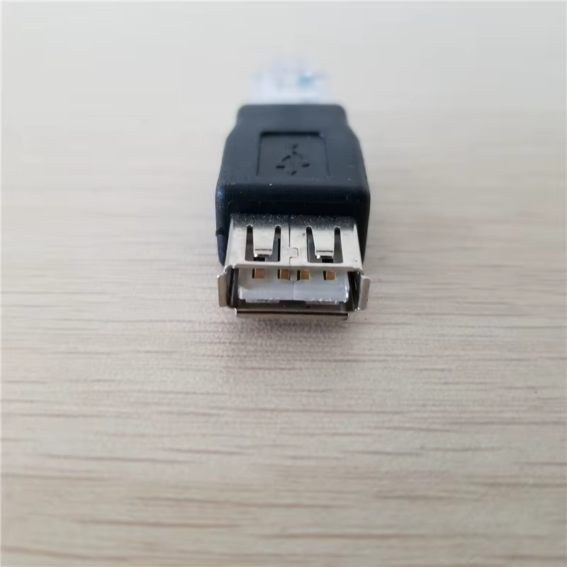 Vista del conector USB hembra A