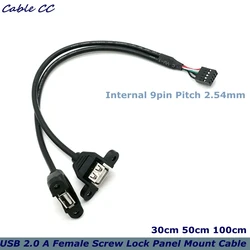Cable USB 2.0 Panel Frontal 9 Pines – Montaje Interno 254mm