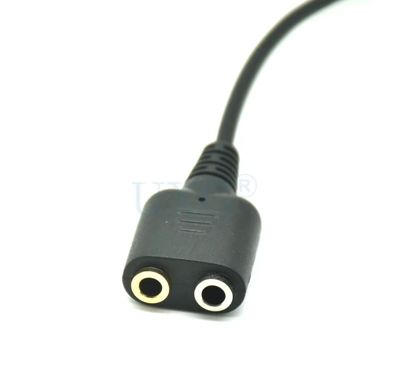 Detalle de los conectores 3.5mm hembra