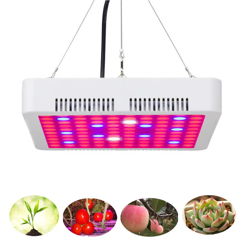 Lámpara Phyto 300W vista frontal
