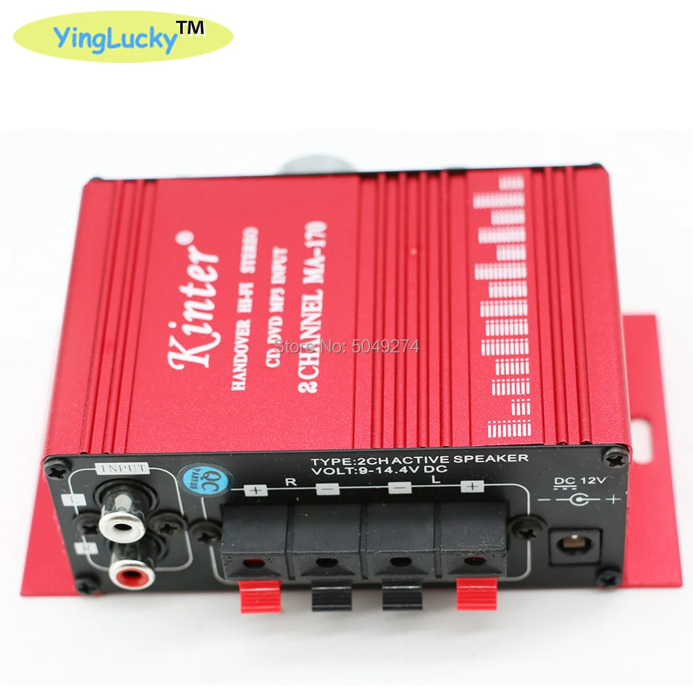 Placa del amplificador con conexiones y controles