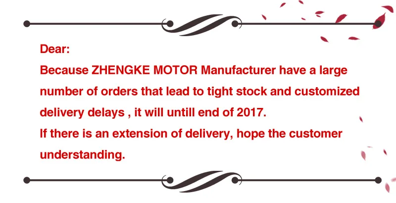 Motor regulador ZhengKe 12V CC vista frontal