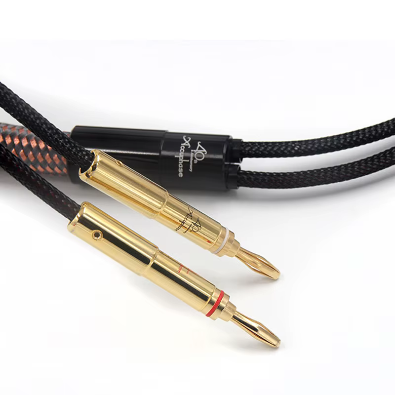 Cables de altavoz en detalle