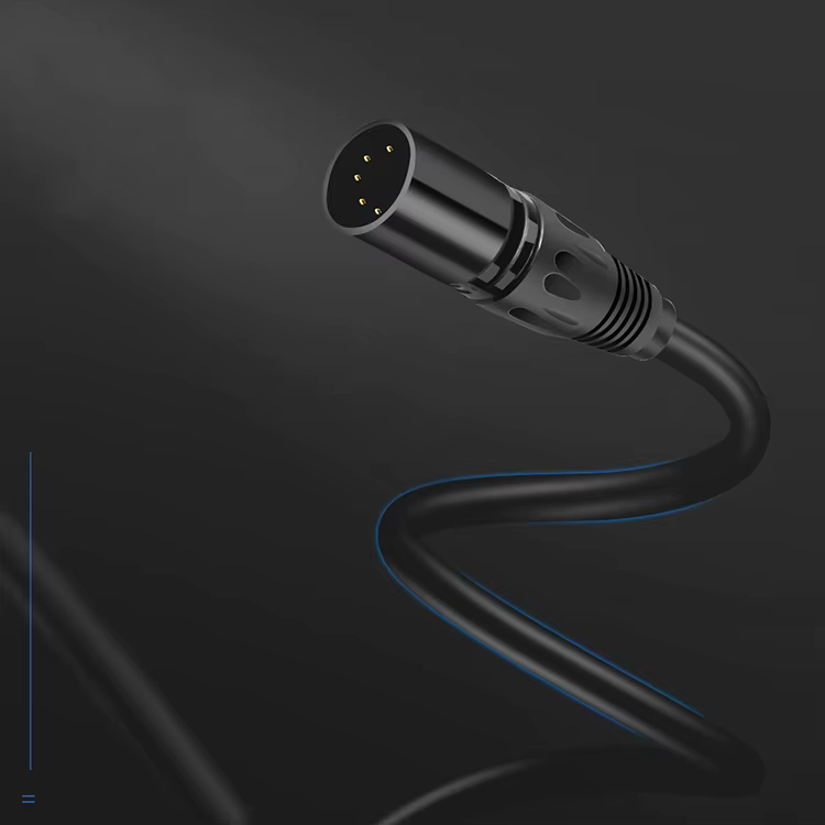 Detalle del conector XLR macho y hembra