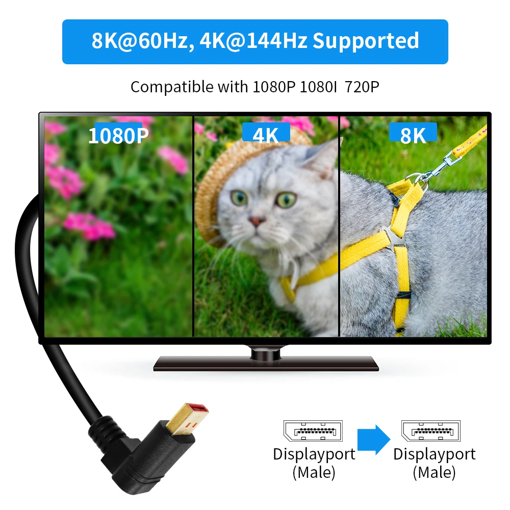 Detalle de los conectores DisplayPort macho