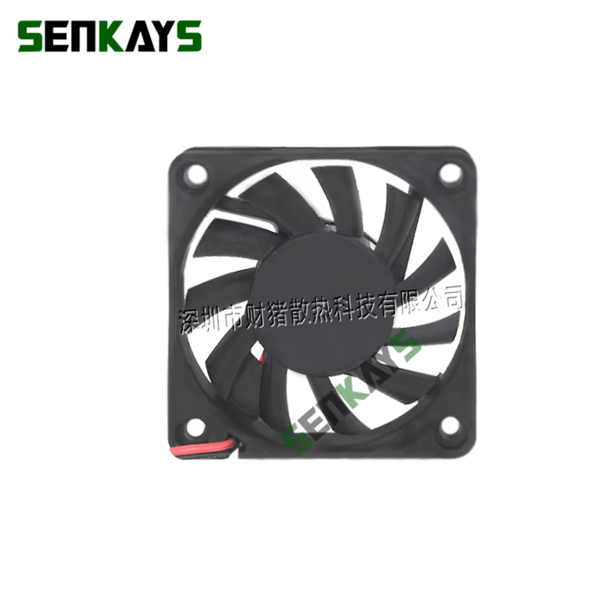 Rueda trasera