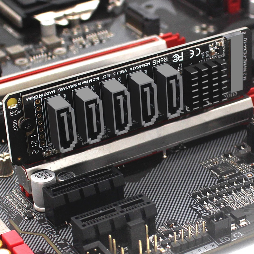 Detalle del chip y conexiones