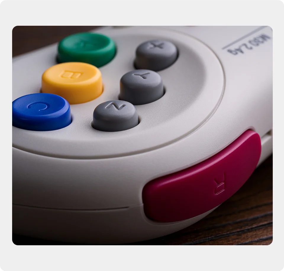 Detalle del D-pad y botones