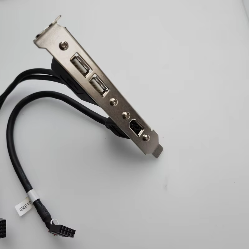 Conectores del cable USB 2.0 y FireWire