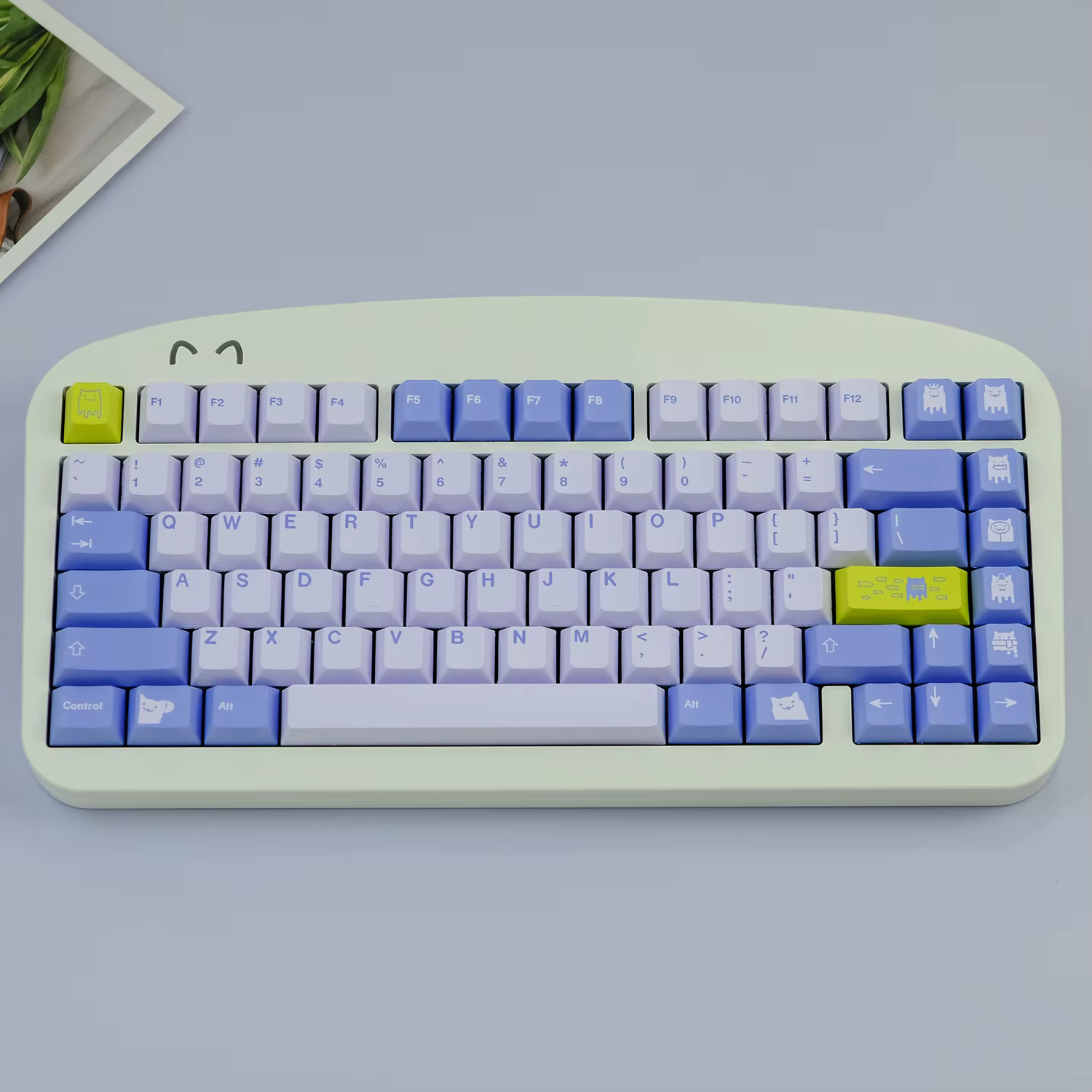 Teclas GMK Cat - primer plano