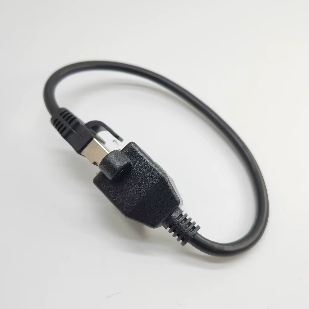 Detalle del conector RJ45 macho