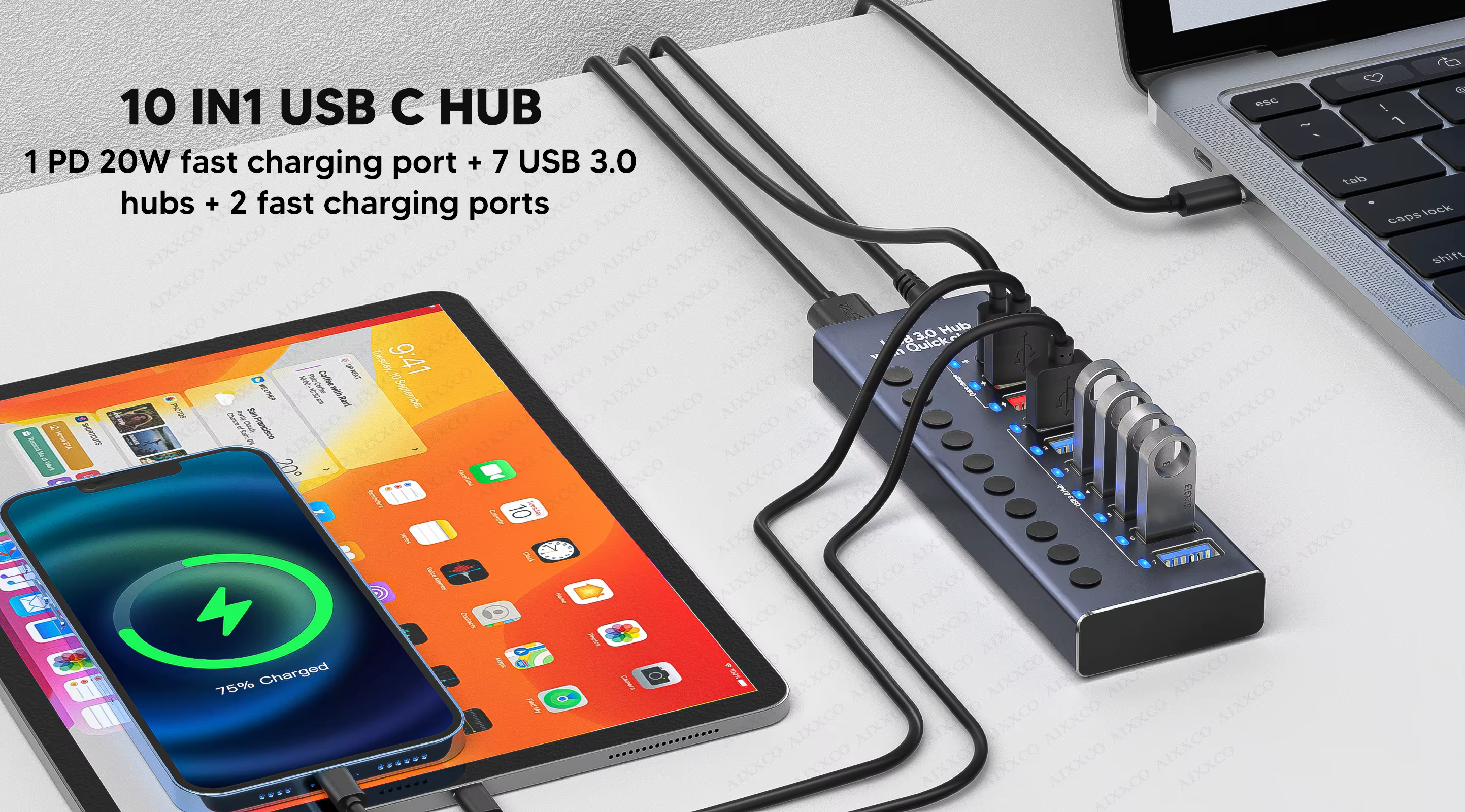 Conexiones traseras del hub