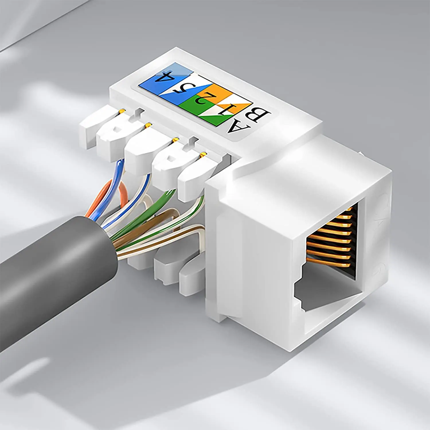 Keystone Jack con cubierta antipolvo instalada