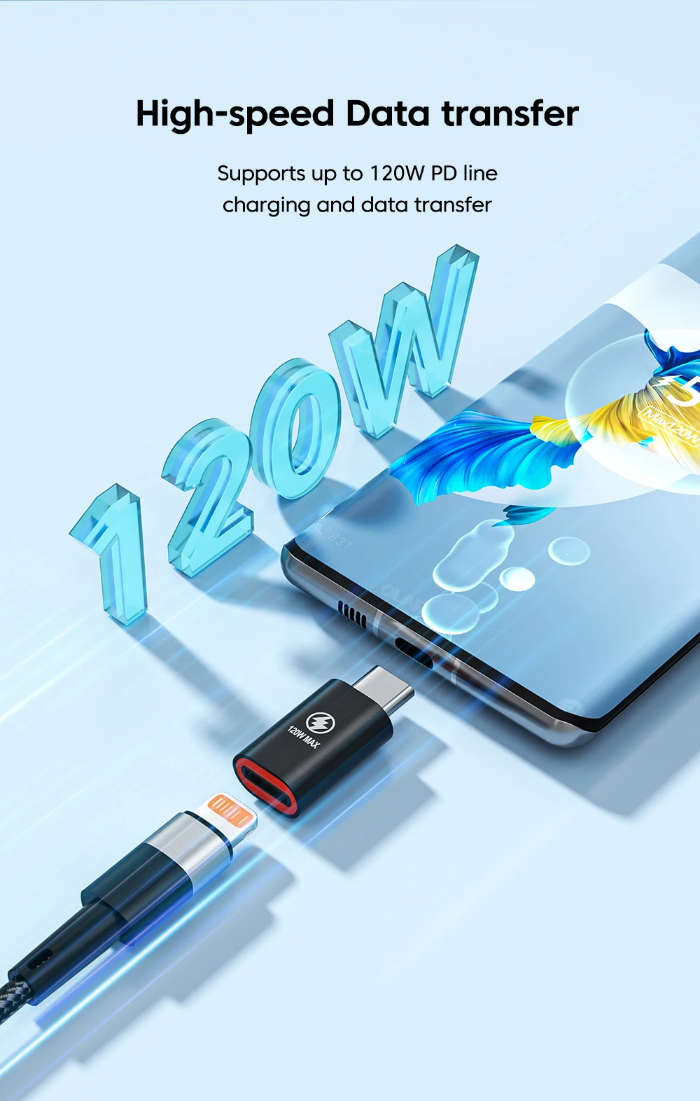 Detalle del conector Lightning