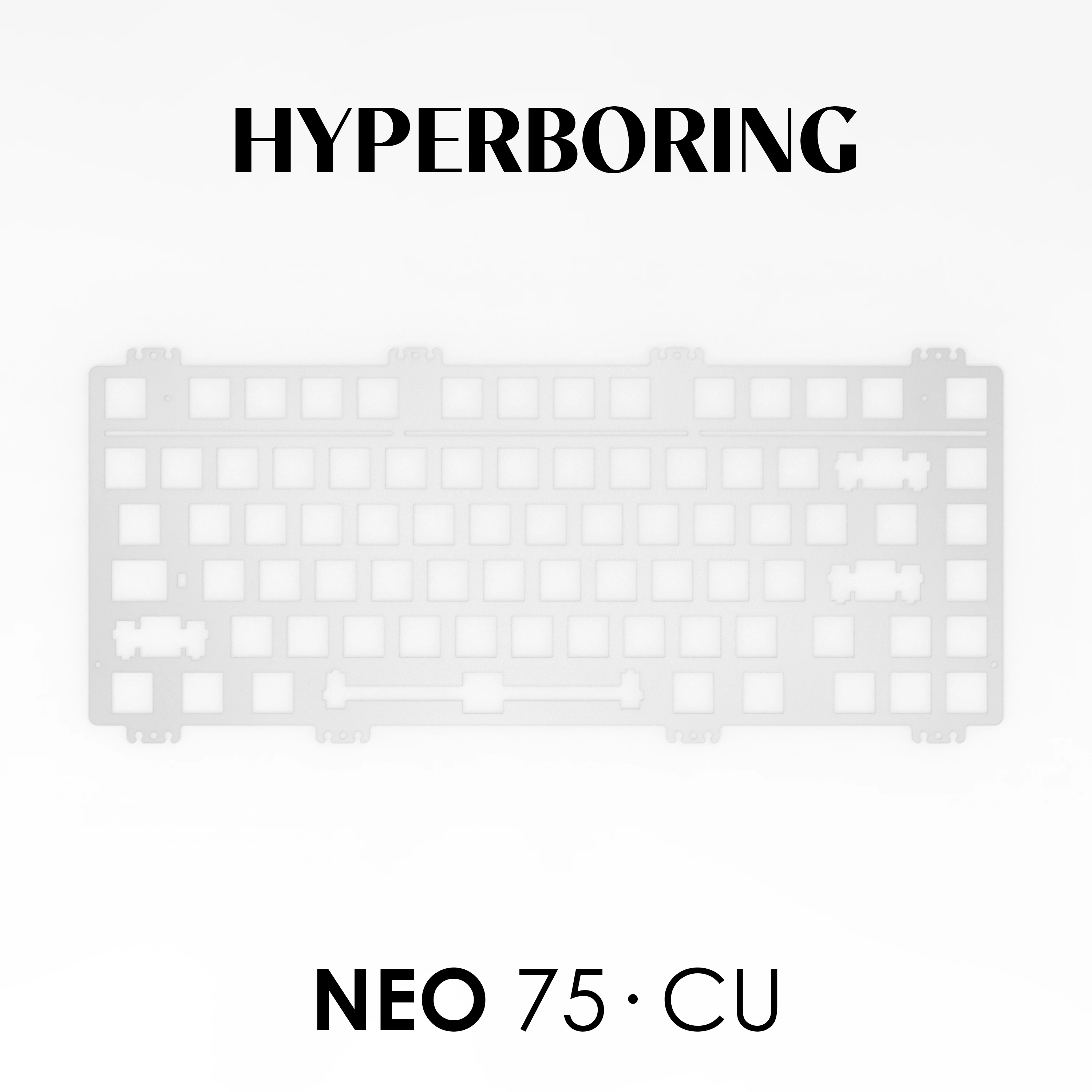 Vista frontal de la placa Neo75·CU