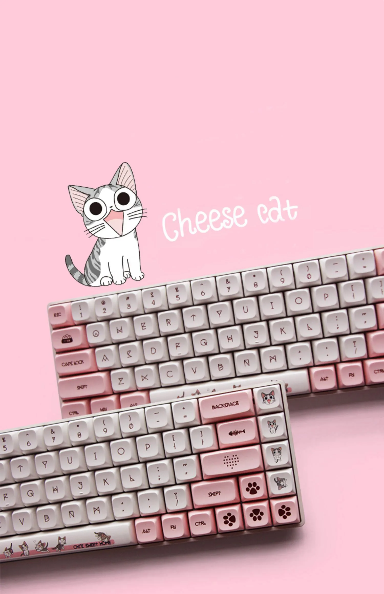 Teclas XDA con diseño de gato y rosas