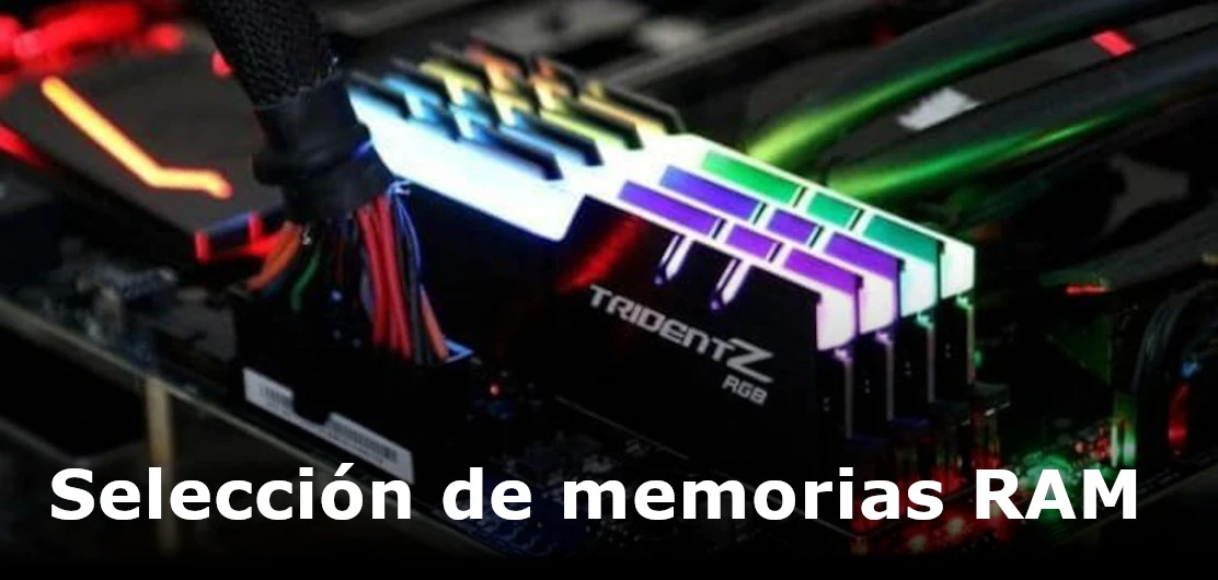 Ver memorias RAM
